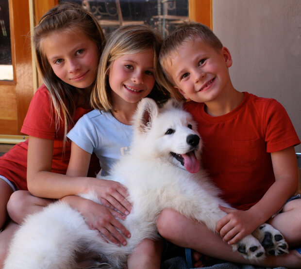 three children smiling with white swiss shepherd puppy