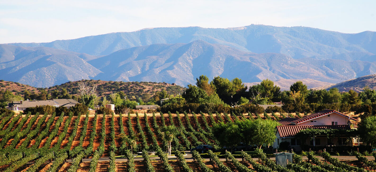 Reyes winery in agua dulce, ca